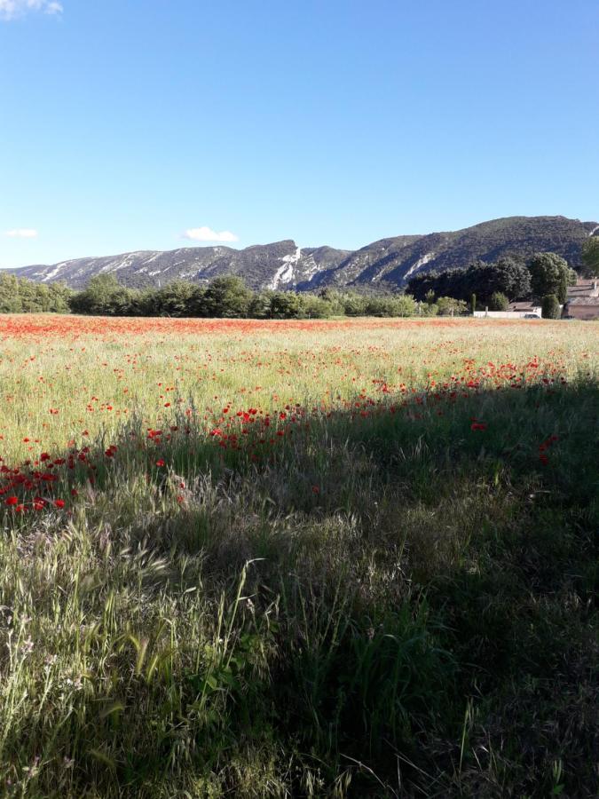 Gite le bagnol un coin de paradis Maubec  Extérieur photo